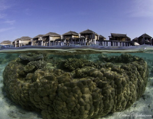 House reef split by Petteri Viljakainen 